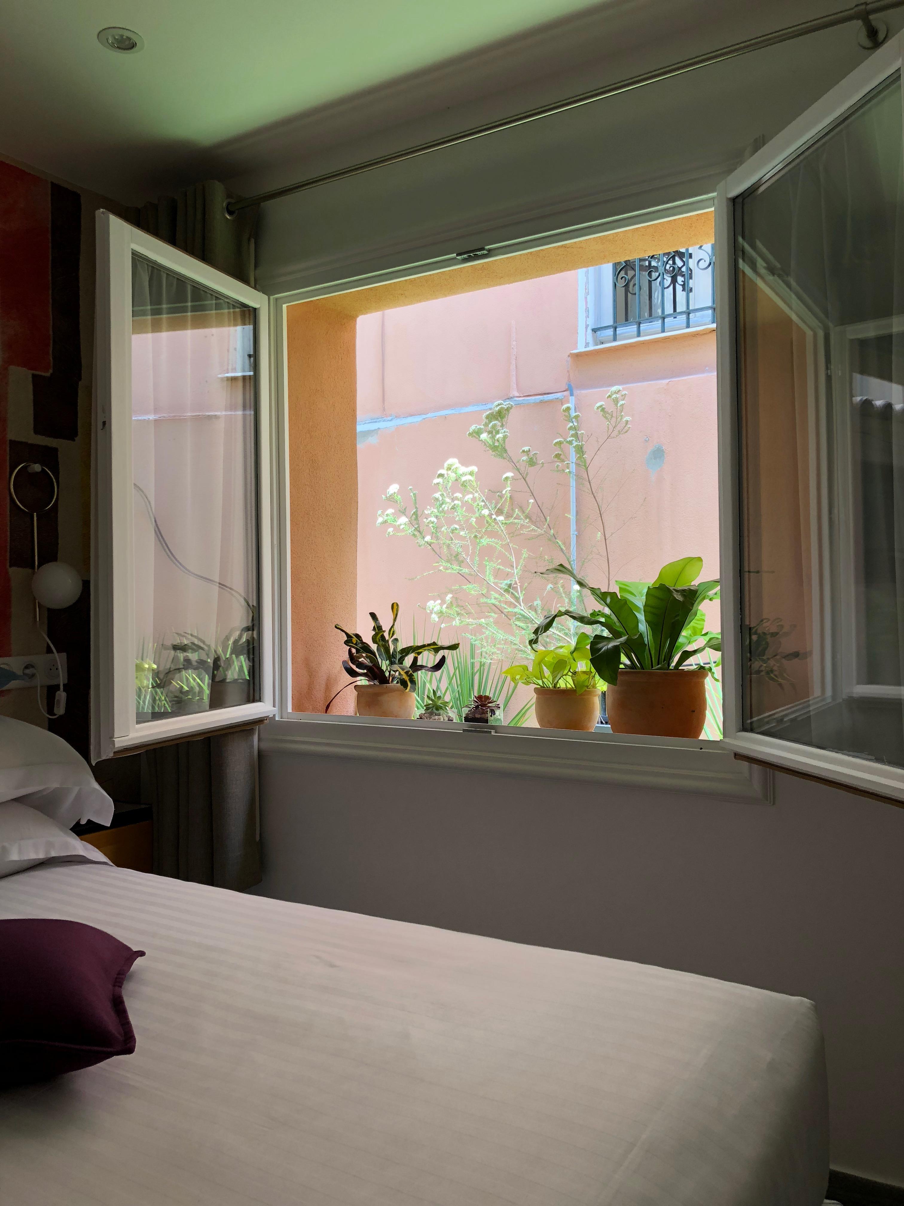 Rose Hotel 3*
